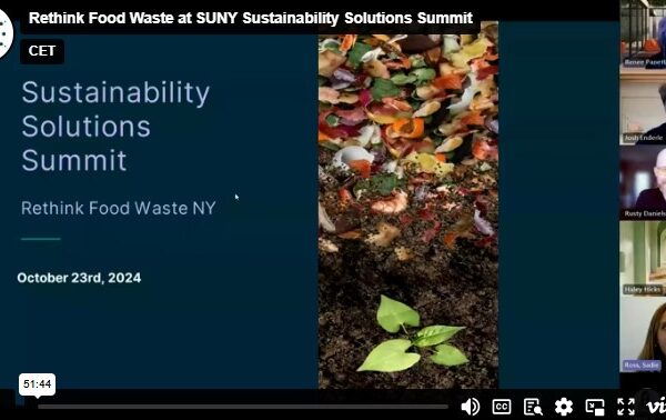 CET webinar about sustainability solutions